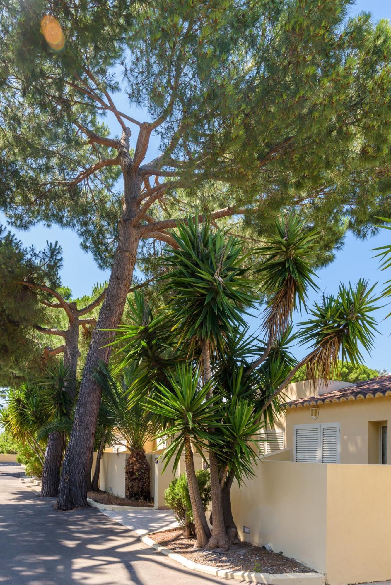 Résidence San Pellegrino Folelli Exterior foto
